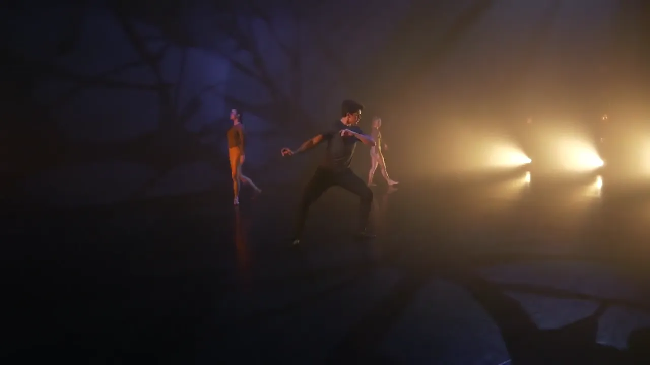 Website video preview